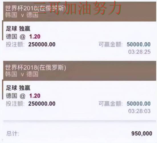 世界杯投注平台精选合集：覆盖数据分析+直播与入口方式 - 世界杯高清直播